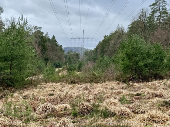 Landschaft mit Strommast