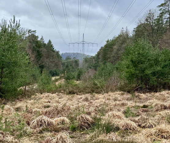 Landschaft mit Strommast