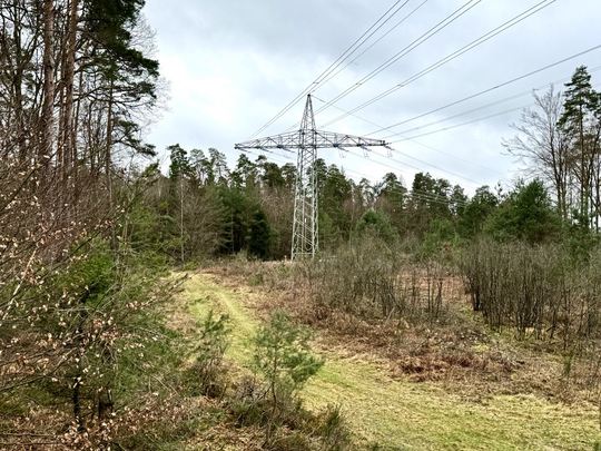 Landschaftsbild mit Strommast - nach dem Zurückschneiden