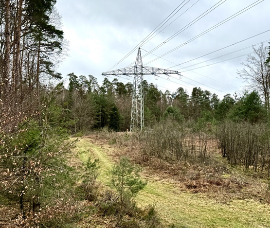 Landschaftsbild mit Strommast - nach dem Zurückschneiden
