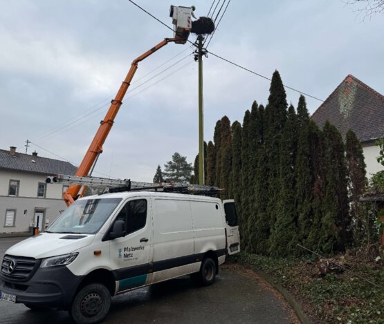 Hubsteiger im Einsatz, um das Storchennest abzubauen | © Pfalzwerke